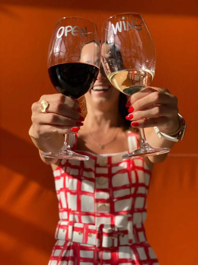 A história do vinho: uma jornada milenar de prazer e cultura